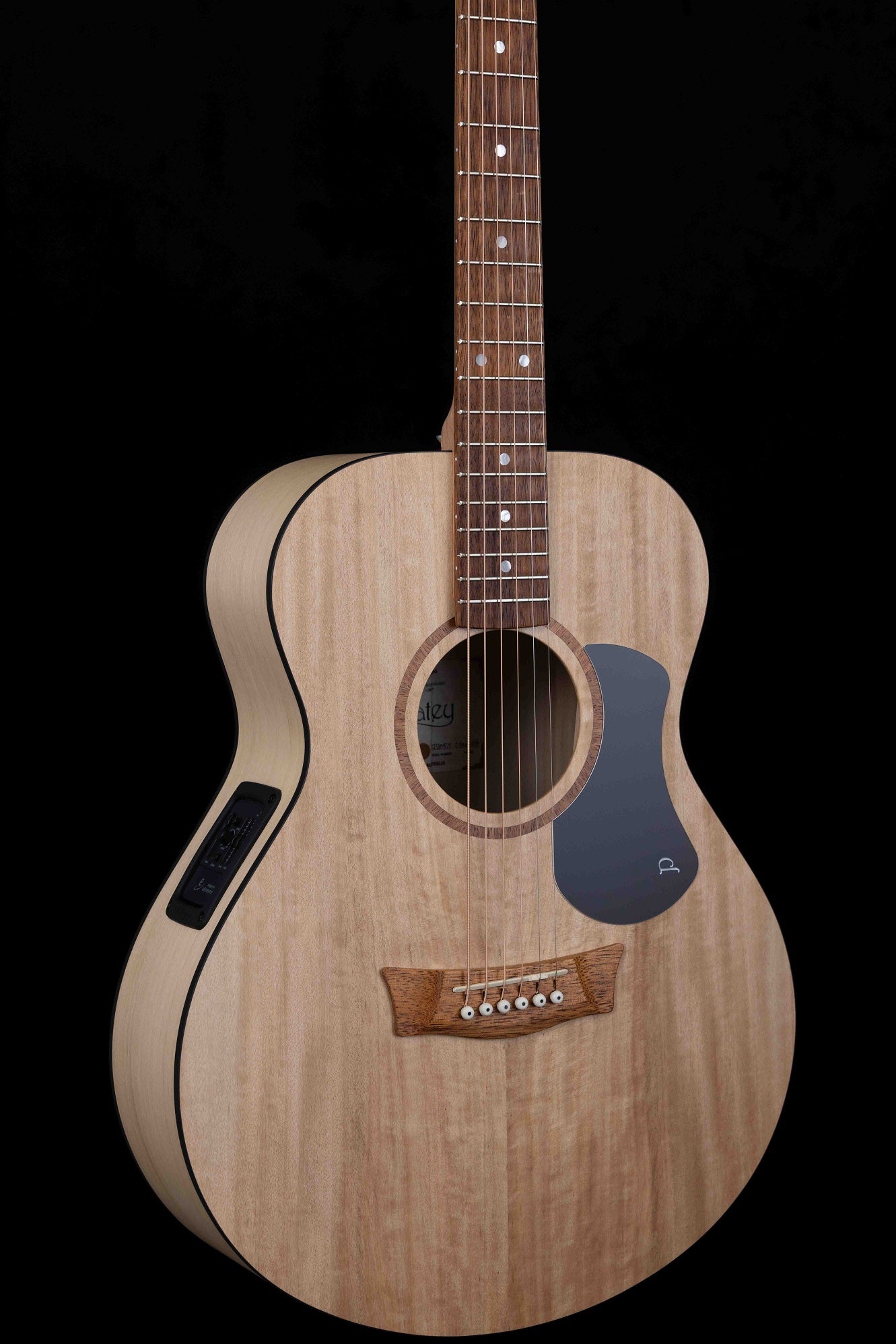 Classic Concert Models