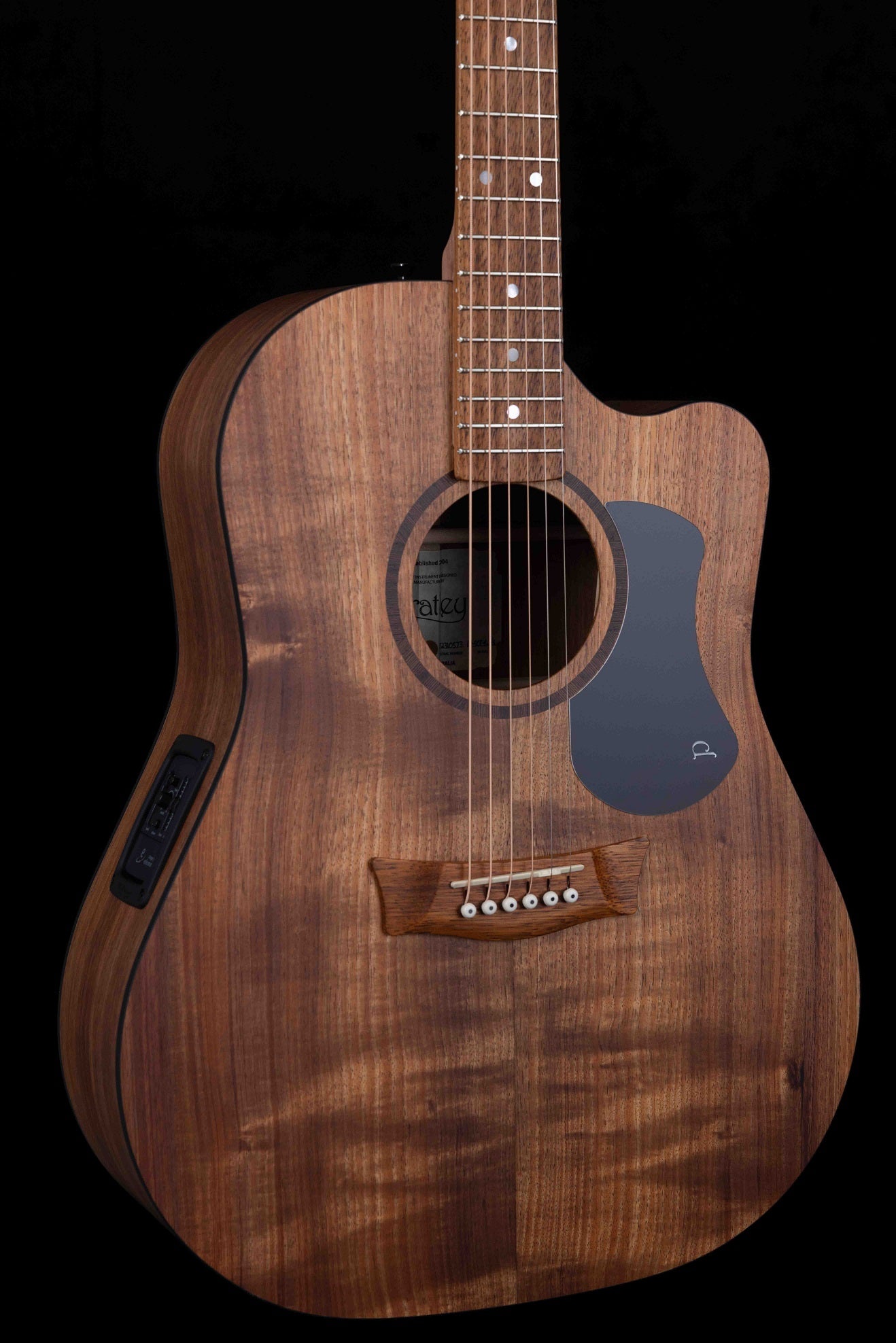Classic Dreadnought Cutaway All Solid Blackwood
