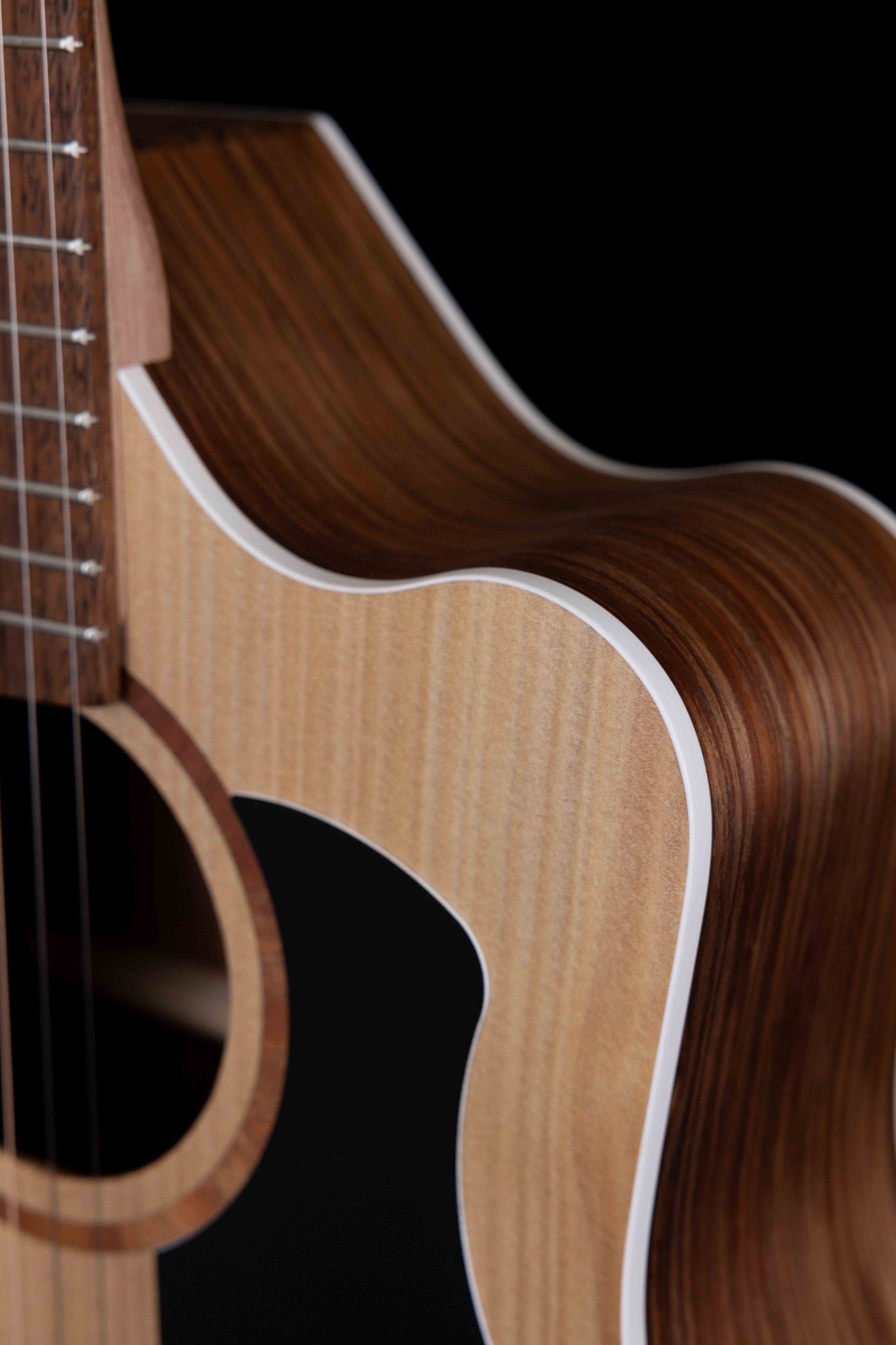 Classic Dreadnought Cutaway Solid Bunya Top, Solid Blackwood B/S