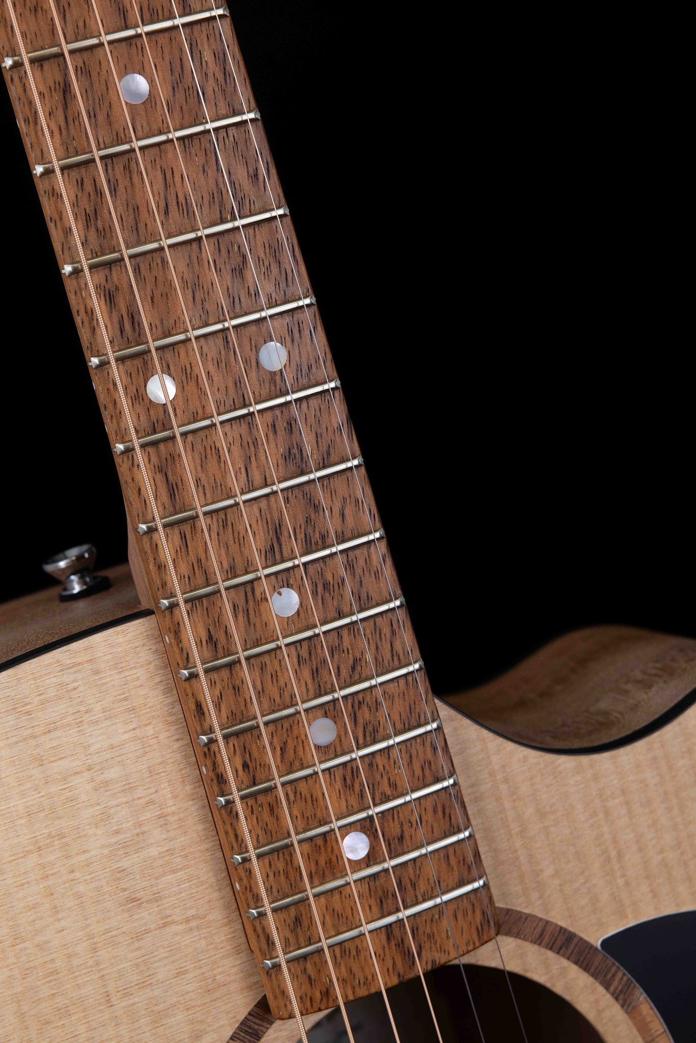 Classic Dreadnought Cutaway Solid Bunya Top, Solid Maple B/S