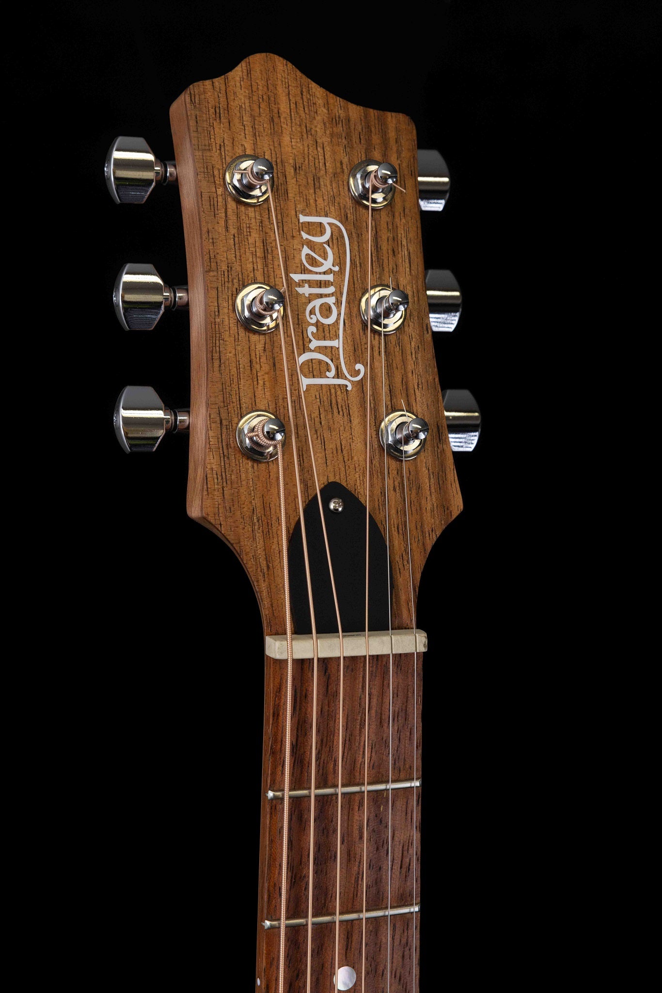 Premier Dreadnought Blackwood Vintage Burst SCE