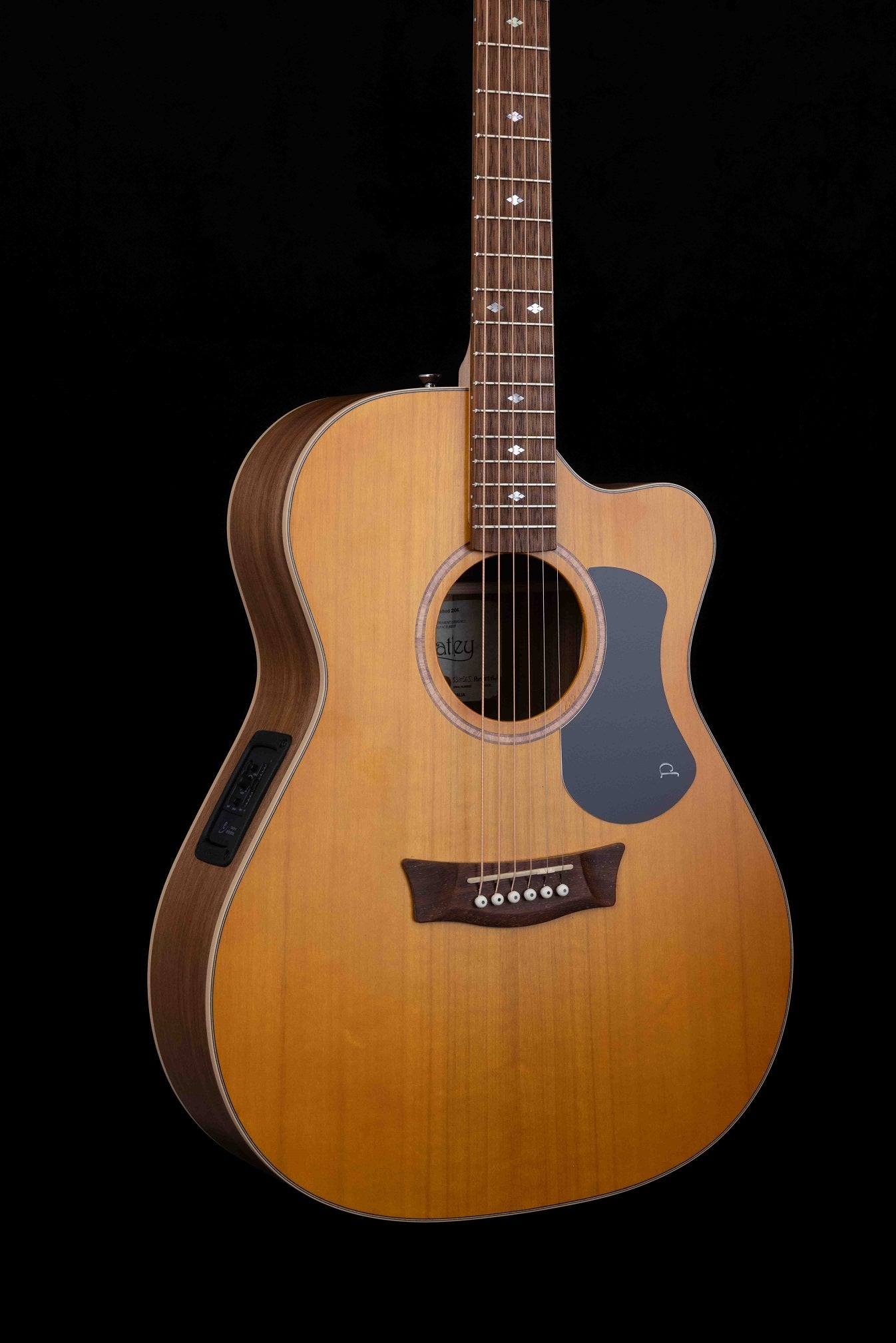 Premier OM Maple/Fig SCE