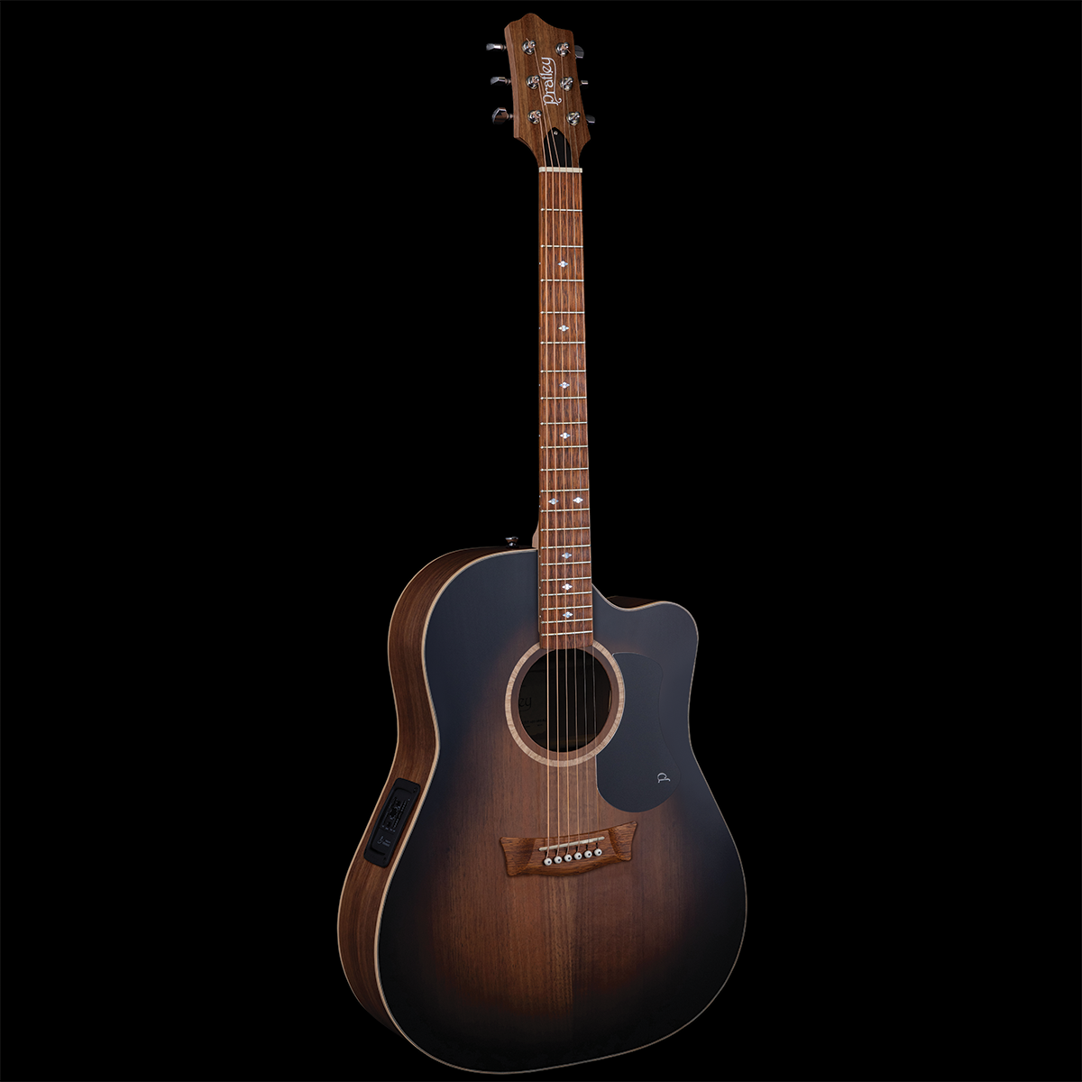 Premier Dreadnought Blackwood Vintage Burst SCE