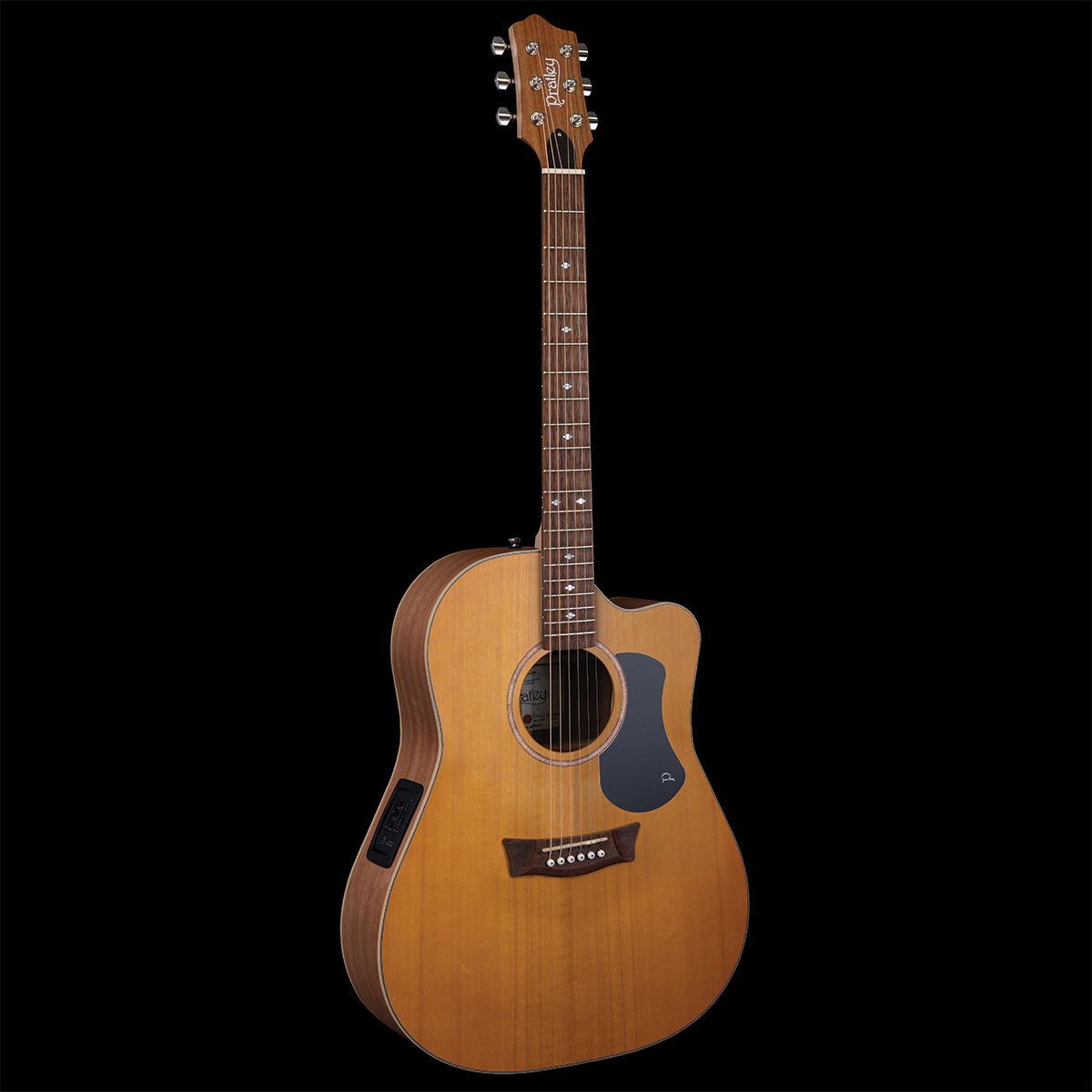 Premier Dreadnought Maple/Fig SCE