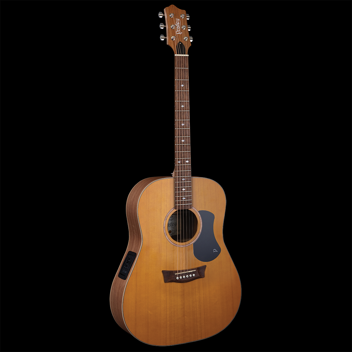 Premier Dreadnought Maple/Fig SE