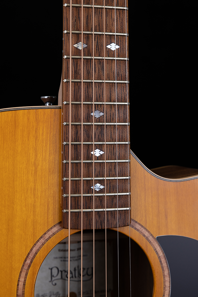 Premier Dreadnought Maple/Fig SCE