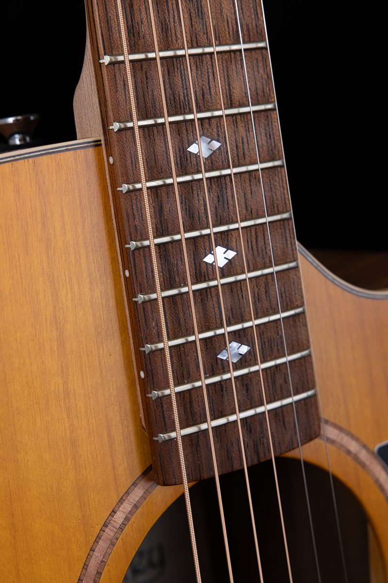 Premier Dreadnought Maple/Fig SCE