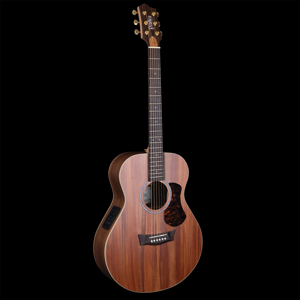 Studio Series Concert Model Blackwood B/S Australian Cedar Top