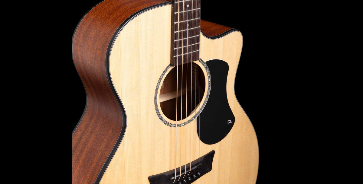 Traditional Series Acoustic Guitars