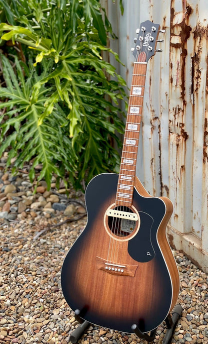Artist Ash Grunwald Signature OM Model (AGOM-SCE-BWVB)