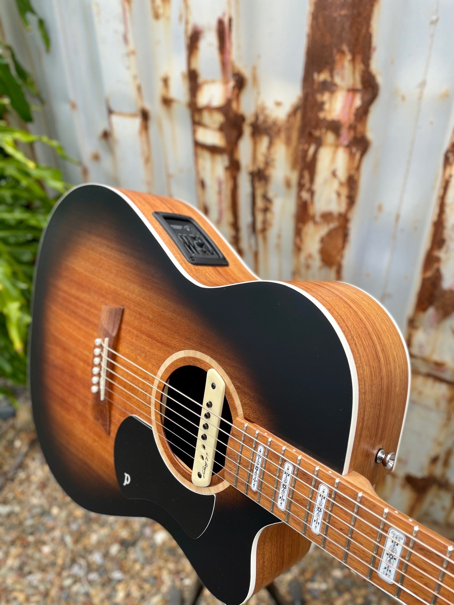 Artist Ash Grunwald Signature OM Model (AGOM-SCE-BWVB)