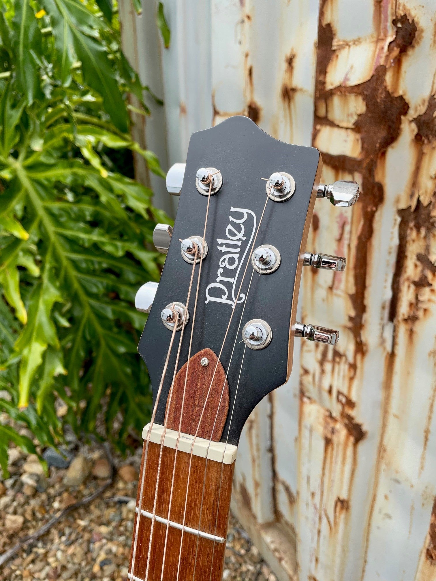 Artist Ash Grunwald Signature OM Model (AGOM-SCE-BWVB)
