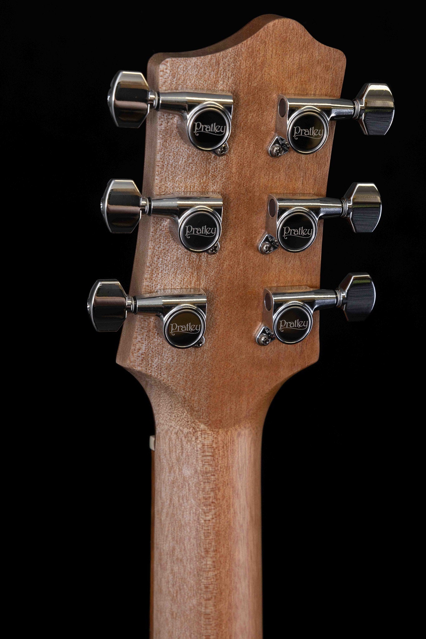 Premier Dreadnought Blackwood  Vintage Burst SCE
