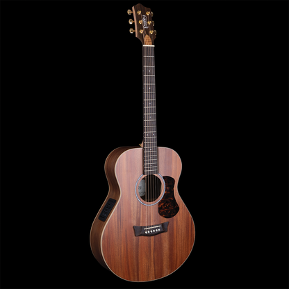 Studio Series Concert Model Blackwood B/S Australian Cedar Top