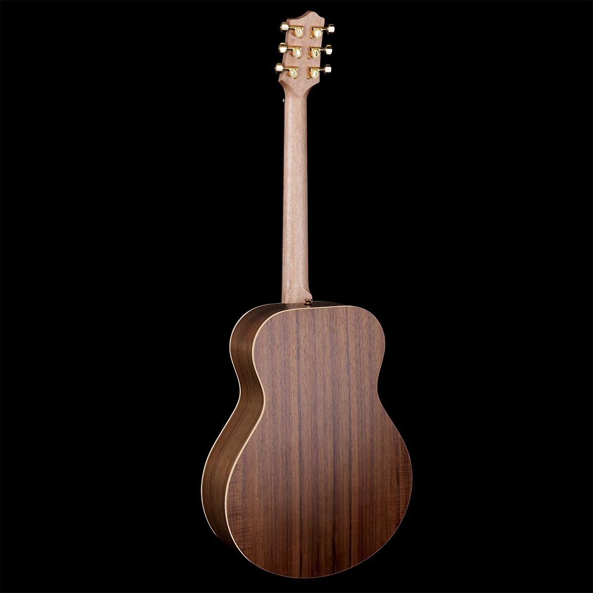 Studio Series Concert Model Blackwood B/S Australian Cedar Top