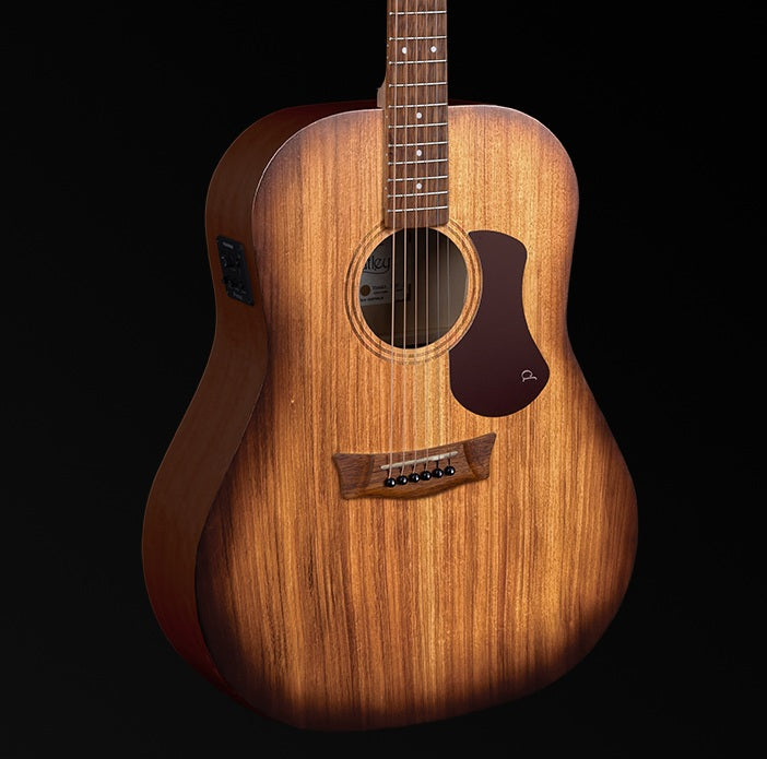 SL Dreadnought Blackwood-E